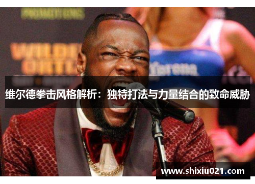 维尔德拳击风格解析：独特打法与力量结合的致命威胁